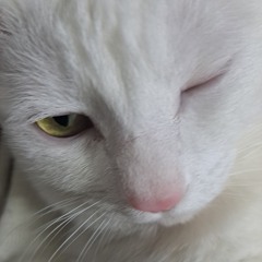 정찬민
