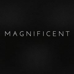 BIG MAGNIFICENT ANIMALS