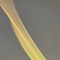Ashe