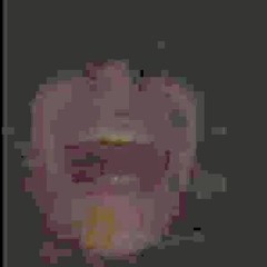 Zigomiotzz