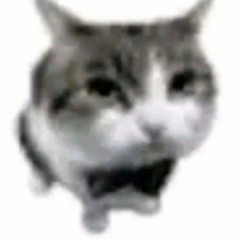 popiņš