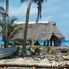 Ree Fanau