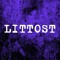 Littost