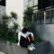 whoisnones__