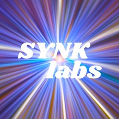 Synk labs