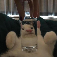 dlxotjd