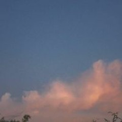 Nguyễn Đình Nhật Nguyên