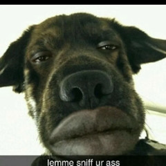 niggaidk