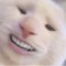 Gael Mg