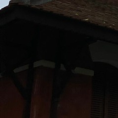 rkcsnz occasional shitposting sessions