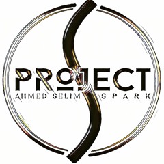 Project S