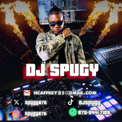 Dj Spugy 876