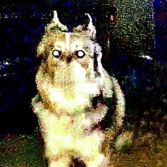mxrt