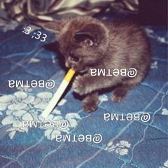 ветма