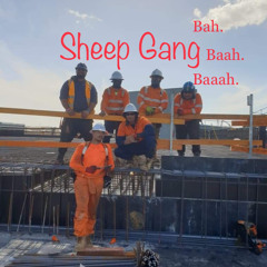 Sheeep Gang