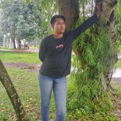 Indra _  ne   Boss