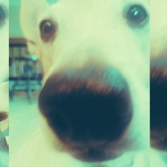 BIGLL
