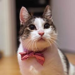 Felixander