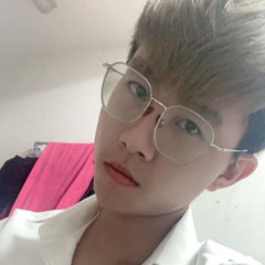 Việt Sói