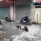 Tú Chu
