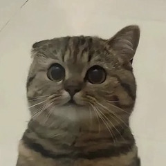 soobing