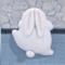 🐰하빗🐇