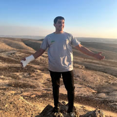 דניאל ביטון