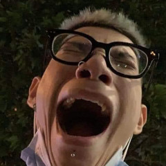 choanh1lydo