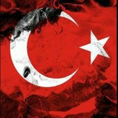 Cengiz Akın