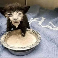 nah