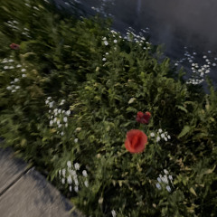 nothingiseternal
