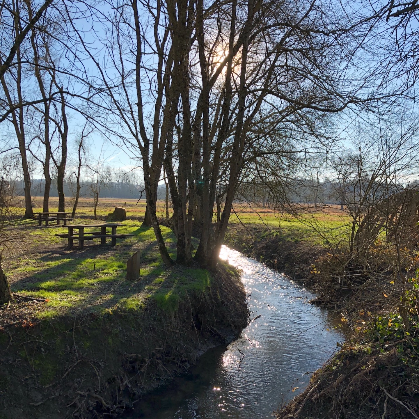 Episode3 - "Comment gérer le confinement ?"