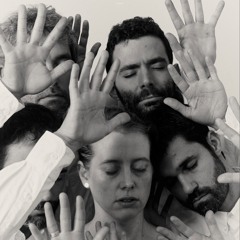 Adagio ma non troppo - Allegro moderato