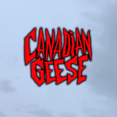 Canadian Geese