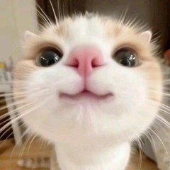닁