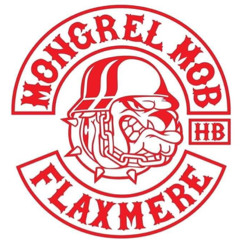 SIEGFUCKFLAXMERE