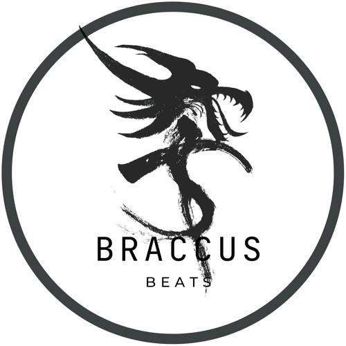 BraccusBeats’s avatar