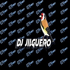 DJ Jilguero