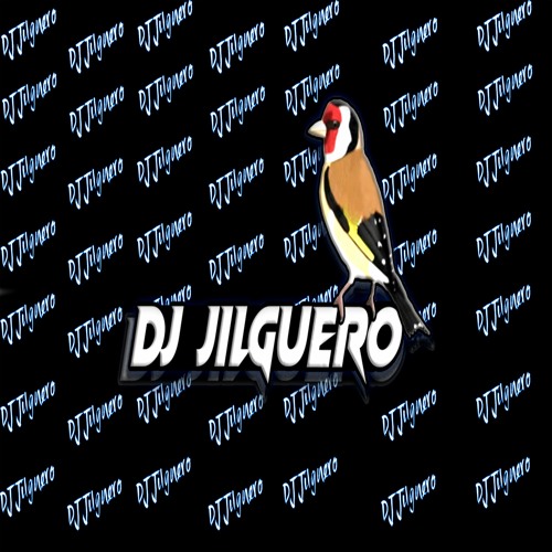 DJ Jilguero’s avatar