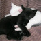 sleepyy