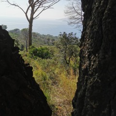 SurlessentiersdelaNature