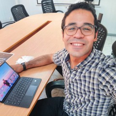 Mahmoud Lasheen