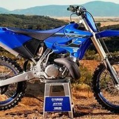 João Ivo Giovanelli