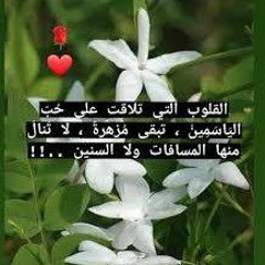 كل دقيقة شخصية.. وائل جسار⁦⁦❤️⁩