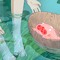 parucchi