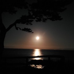 、