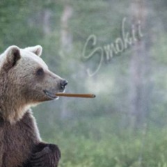 Smokii The Bear