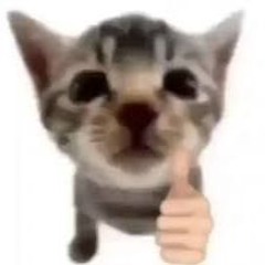 melon
