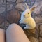 ‏ImasinIdidntcommit
