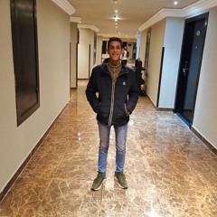 Waleed ELSADAT